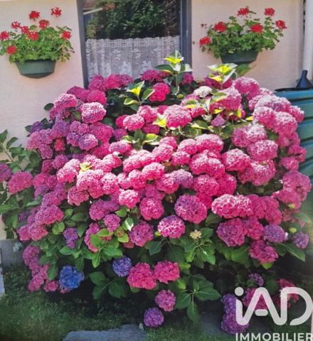 Maison à vendre 6 pièces 100 m² Lambersart