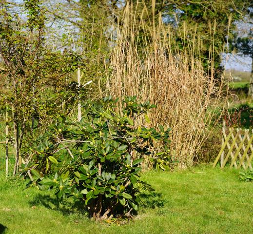 Goven (35580) Maison 5 chambres