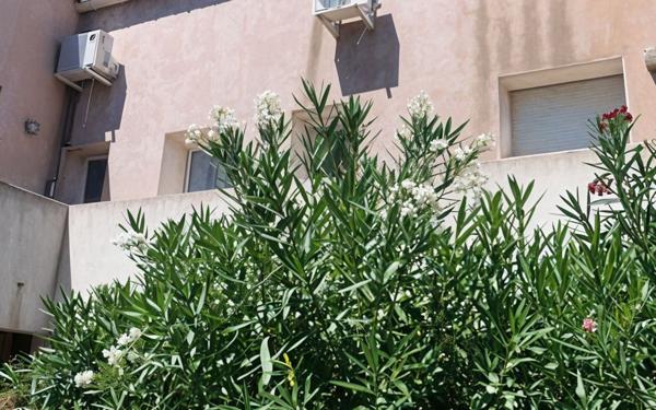 Appartement à vendre    2 pièces • 29 m2 Nîmes