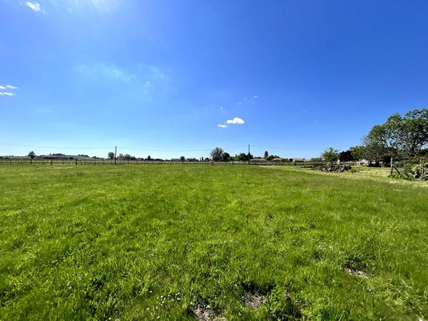 A VENDRE TERRAIN LIBRE DE CONSTRUCTEUR DE 1 215 M2 PRICHE BLAYE , Blaye A VENDRE TERRAIN LIBRE DE CONSTRUCTEUR DE 1 215 M2 PRICHE BLAYE , Blaye