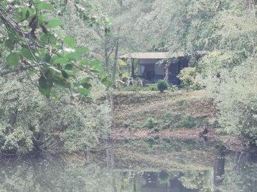 Terrain de loisirs - Bois - Etangs à vendre à Vailly-sur-Aisne dans l'Aisne (02370), ref : 02072/221 Terrain de loisirs - Bois - Etangs à vendre à Vailly-sur-Aisne dans l'Aisne (02370), ref : 02072/221 Terrain de loisirs - Bois - Etangs à vendre à Vailly-sur-Aisne dans l'Aisne (02370), ref : 02072/221