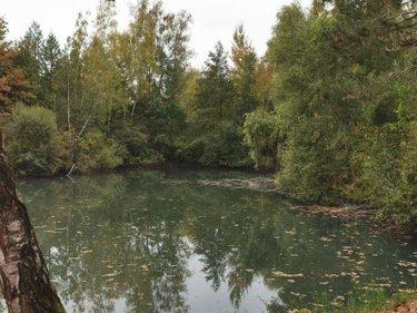 Terrain de loisirs - Bois - Etangs à vendre à Vailly-sur-Aisne dans l'Aisne (02370), ref : 02072/221 Terrain de loisirs - Bois - Etangs à vendre à Vailly-sur-Aisne dans l'Aisne (02370), ref : 02072/221 Terrain de loisirs - Bois - Etangs à vendre à Vailly-sur-Aisne dans l'Aisne (02370), ref : 02072/221