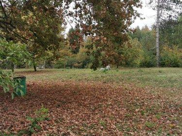 Terrain de loisirs - Bois - Etangs à vendre à Vailly-sur-Aisne dans l'Aisne (02370), ref : 02072/221 Terrain de loisirs - Bois - Etangs à vendre à Vailly-sur-Aisne dans l'Aisne (02370), ref : 02072/221 Terrain de loisirs - Bois - Etangs à vendre à Vailly-sur-Aisne dans l'Aisne (02370), ref : 02072/221