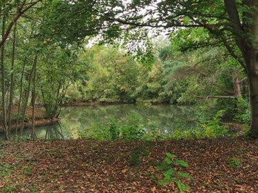 Terrain de loisirs - Bois - Etangs à vendre à Vailly-sur-Aisne dans l'Aisne (02370), ref : 02072/221 Terrain de loisirs - Bois - Etangs à vendre à Vailly-sur-Aisne dans l'Aisne (02370), ref : 02072/221 Terrain de loisirs - Bois - Etangs à vendre à Vailly-sur-Aisne dans l'Aisne (02370), ref : 02072/221