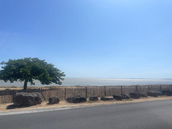 Face à la mer et à 1 km de la Citadelle - Charmante maison de plain-pied avec 2 chambres et jardin