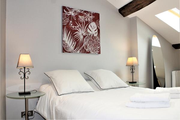 Grand appartement hyper centre - FONTENAY LE COMTE