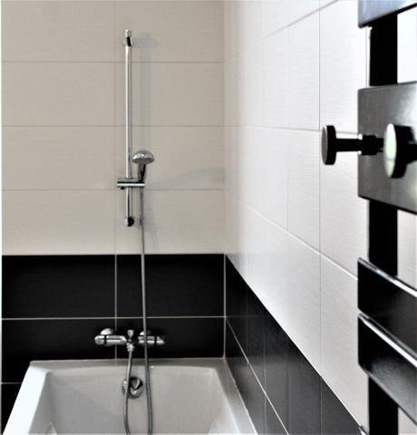Grand appartement hyper centre - FONTENAY LE COMTE