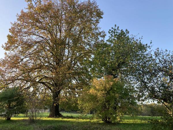 Maison de campagne avec un grand potentiel dans un hameau tranquille