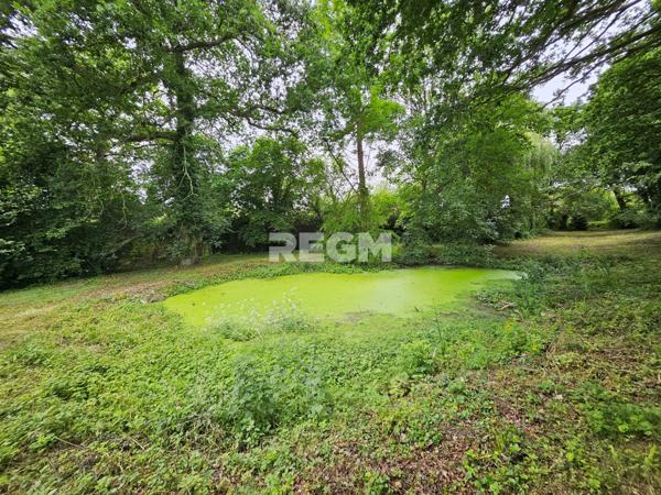 Pleurtuit (35730) À VENDRE – Propriété de charme en pierre – PLEURTUIT – 193 m² habitables – Parc arboré de 7000 m²