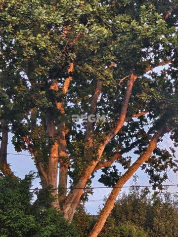 Pleurtuit (35730) À VENDRE – Propriété de charme en pierre – PLEURTUIT – 193 m² habitables – Parc arboré de 7000 m²