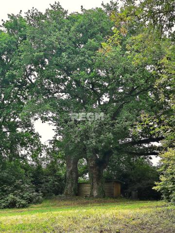 Pleurtuit (35730) À VENDRE – Propriété de charme en pierre – PLEURTUIT – 193 m² habitables – Parc arboré de 7000 m²