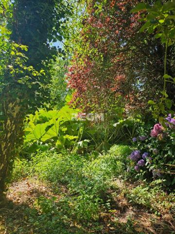 Pleurtuit (35730) À VENDRE – Propriété de charme en pierre – PLEURTUIT – 193 m² habitables – Parc arboré de 7000 m²