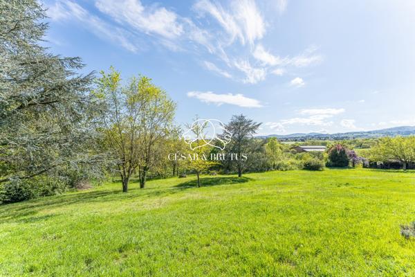 Grezieux-la varenne – Maison d’environ 250 m² – 5 chambres- terrain 8000 m²