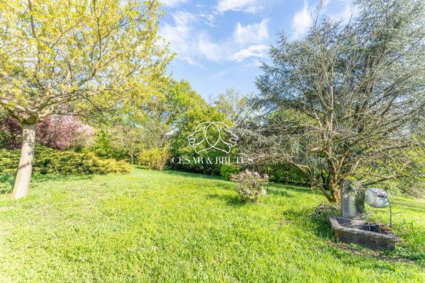 Grezieux-la varenne – Maison d’environ 250 m² – 5 chambres- terrain 8000 m²