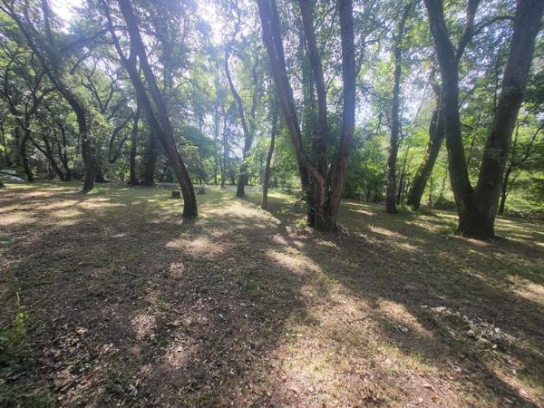 Terrain de loisir, ^proche du cher avec une retenue d'eau, entierement clos, propice au calme a la verdure