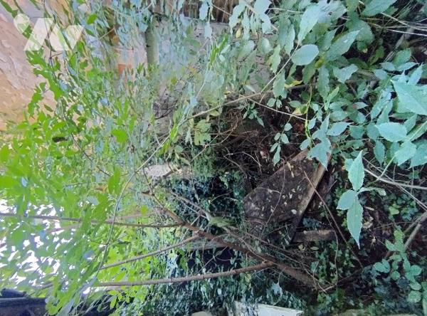 Au THEIL SUR HUISNE, maison de bourg à rénover entièrement 
RDC : cuisine, séjour, 2 chambres, SDB