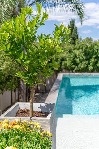 Lattes (34970) Vente Maison d’Architecte Haut de Gamme – Lattes Centre