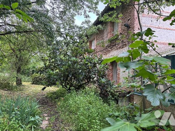 GRANDE MAISON RURALE A L'ISLE SUR TARN