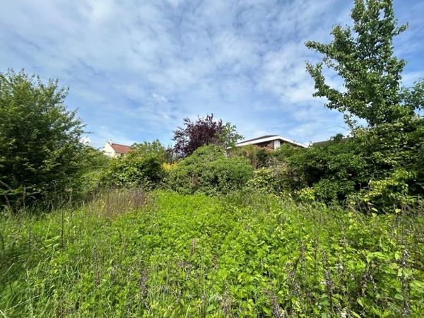 Terrain - 2541 m² Exclusivité efficity