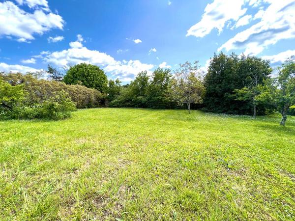 6400 M2 TERRAIN CONSTRUCTIBLE  VENDOME