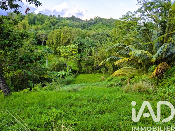 Terrain à vendre 1 405 m² Ducos