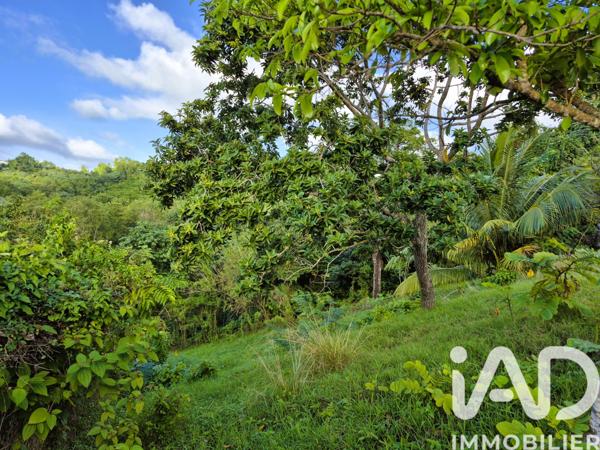 Terrain à vendre 1 405 m² Ducos