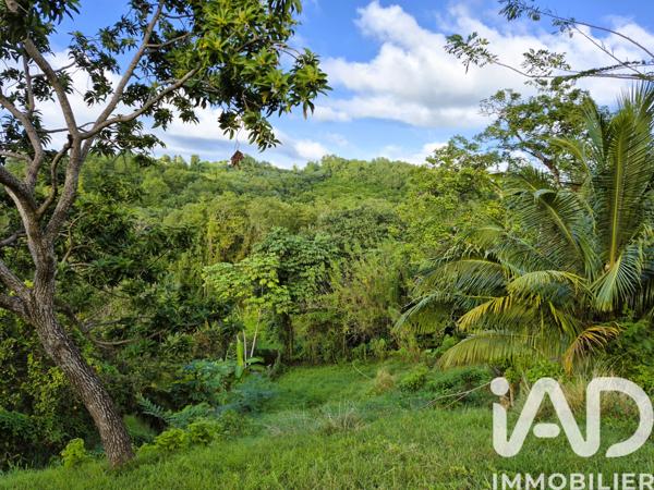 Terrain à vendre 1 405 m² Ducos