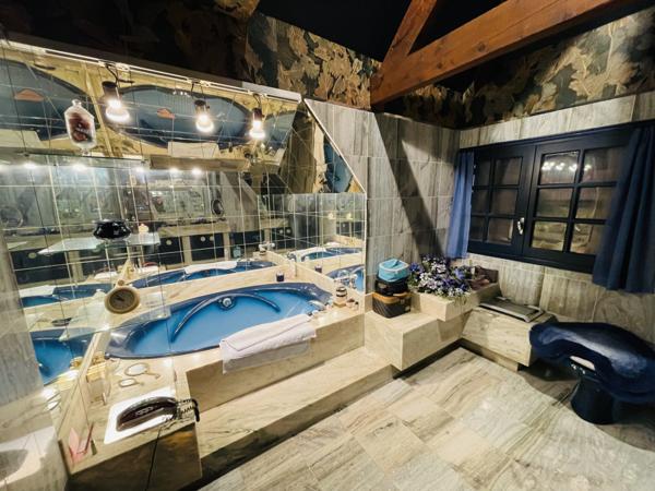 La Villedieu-du-Clain (86340) MAISON FAMILLIALE