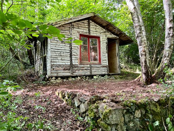 Maisonnette avec terrasse à rénover au bord du lac d'Aydat dans un parc arboré