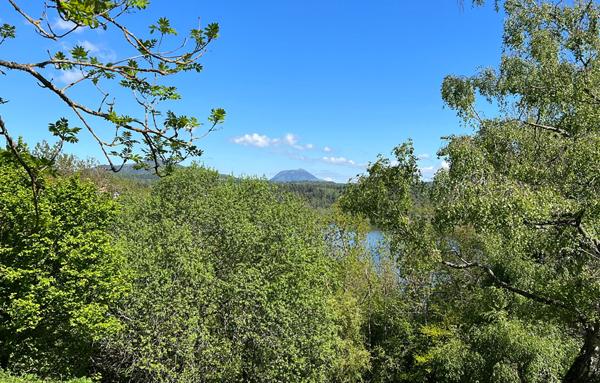 Maisonnette avec terrasse à rénover au bord du lac d'Aydat dans un parc arboré