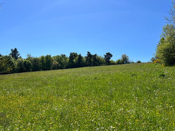 Maisonnette avec terrasse à rénover au bord du lac d'Aydat dans un parc arboré