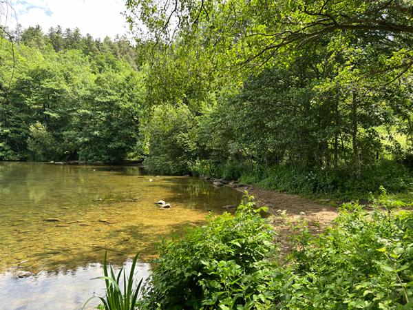 Maisonnette avec terrasse à rénover au bord du lac d'Aydat dans un parc arboré