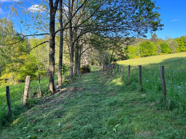 Maisonnette avec terrasse à rénover au bord du lac d'Aydat dans un parc arboré