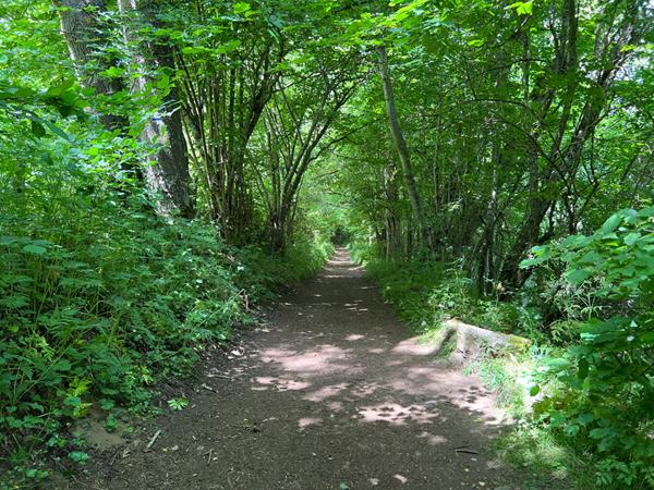 Maisonnette avec terrasse à rénover au bord du lac d'Aydat dans un parc arboré