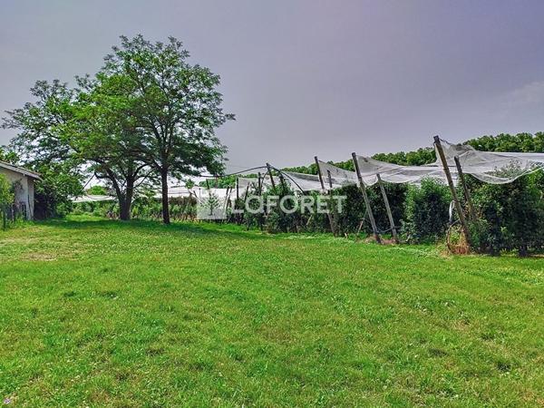 Achat maison Pommevic - 4 pièce(s) - 127 m² - 316 000 €