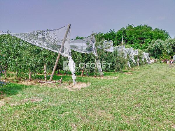 Achat maison Pommevic - 4 pièce(s) - 127 m² - 316 000 €