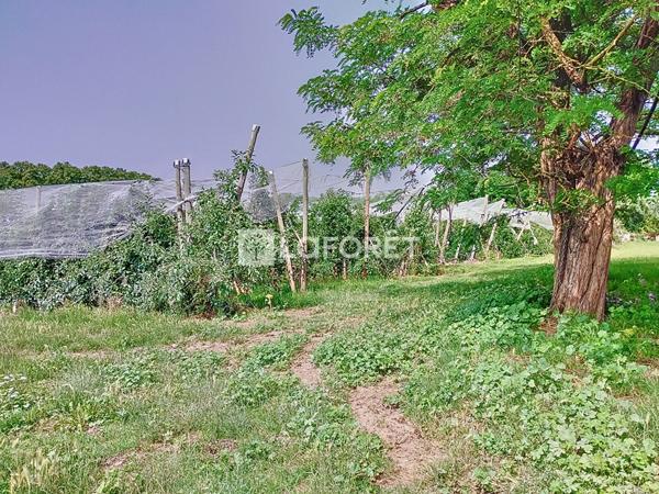 Achat maison Pommevic - 4 pièce(s) - 127 m² - 316 000 €