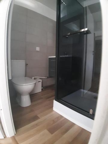 Location Studio meublé 23.69 m² - Saint-dié-des-vosges 88100