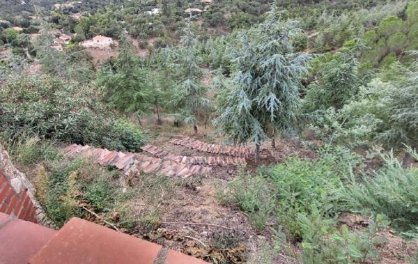 Vente Maison Propriété d'exception secteur Thuir Thuir   