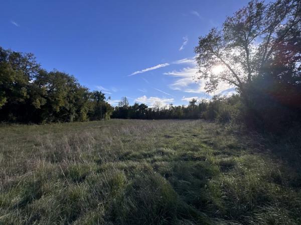 Terrain à vendre |  Lalbenque |  18336 m²