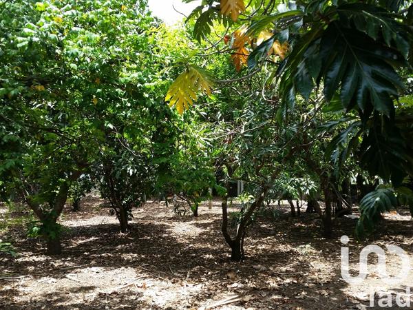 Terrain à vendre 400 m² Saint-Pierre