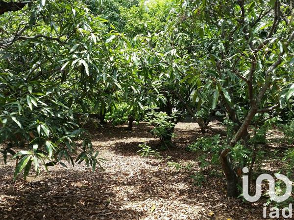 Terrain à vendre 400 m² Saint-Pierre