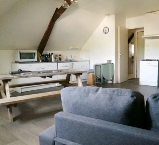 NUILLÉ-SUR-VICOIN – APPARTEMENT DE 37,43 m² – LIBRE Détails des diagnostics énergétiques