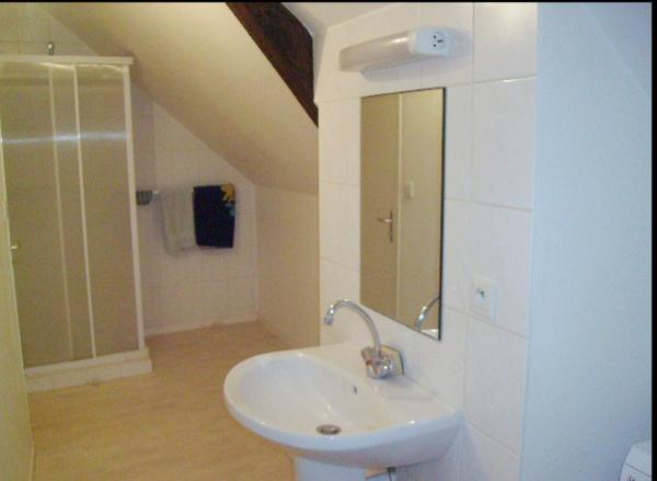 NUILLÉ-SUR-VICOIN – APPARTEMENT DE 37,43 m² – LIBRE Détails des diagnostics énergétiques