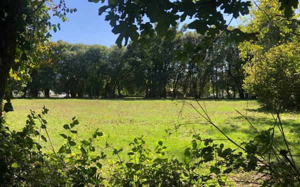 Maison à vendre    5 pièces •  Aigrefeuille-d'Aunis