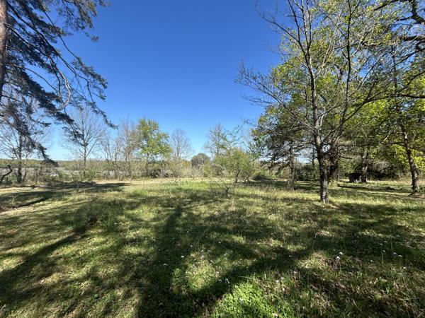 Maison sur un superbe terrain boisé et clos de plus d’un hectare proche du golf !! Julienne (16200)