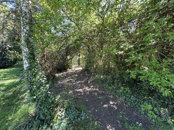 Maison sur un superbe terrain boisé et clos de plus d’un hectare proche du golf !! Julienne (16200)