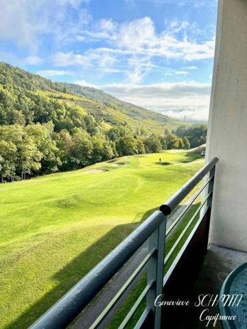 Dpt Haut-Rhin (68), à vendre AMMERSCHWIHR appartement T2