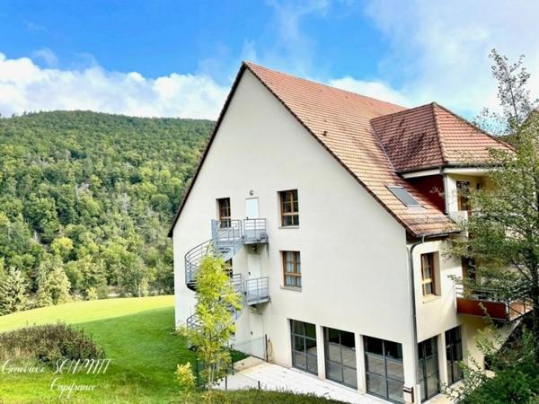 Dpt Haut-Rhin (68), à vendre AMMERSCHWIHR appartement T2