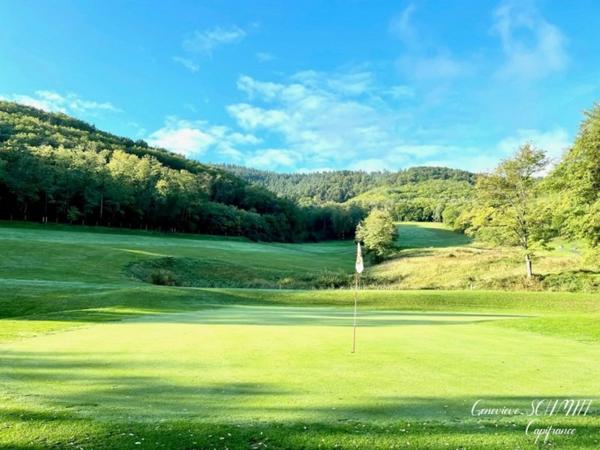 Dpt Haut-Rhin (68), à vendre AMMERSCHWIHR appartement T2